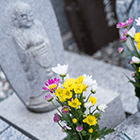 墓石・霊園のご案内