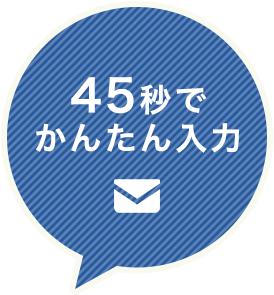 45秒で かんたん入力