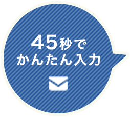 45秒でかんたん入力